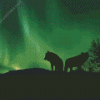 Wolves Silhouette in Northern Lights Diamond Painting