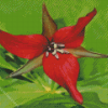 Wood Lily Flower Diamond Painting