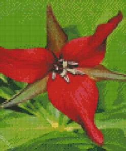 Wood Lily Flower Diamond Painting