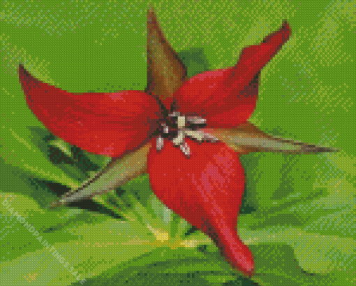 Wood Lily Flower Diamond Painting