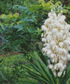 Yucca Flowers Diamond Painting