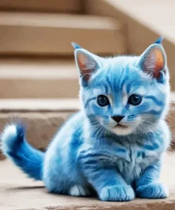 Baby Blue Cat Diamond Painting