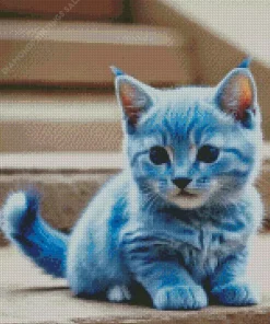 Baby Blue Cat Diamond Painting