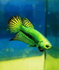 Betta Smaragdina Diamond Painting