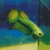 Betta Smaragdina Diamond Painting