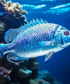 Blue Fish Underwater Diamond Painting