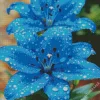Blue Lilies Diamond Painting