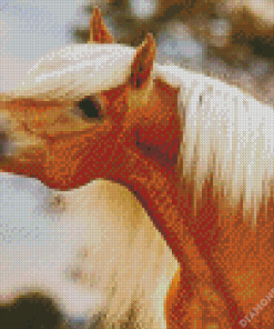 Brown Horse With Blond Hair Diamond Painting
