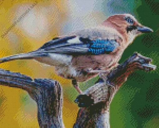 Eurasian Jay Bird Diamond Painting