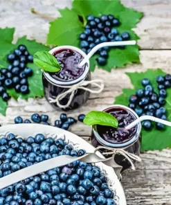 Fresh Blueberries Diamond Painting