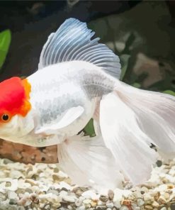 Oranda Goldfish Diamond Painting
