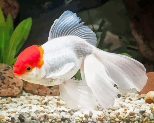 Oranda Goldfish Diamond Painting