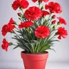 Red Blooming Carnation Pot Diamond Painting