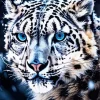 Snow Blue Eyed Leopard Diamond Painting
