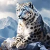 The Blue Eyed Snow Leopard Diamond Painting