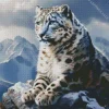 The Blue Eyed Snow Leopard Diamond Painting
