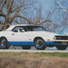Vintage Blue And White Mustang Diamond Painting