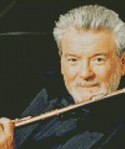 Aesthetic James Galway Diamond Painting