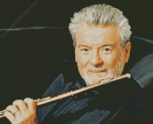 Aesthetic James Galway Diamond Painting
