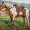 Appaloosa Leopard Diamond Painting