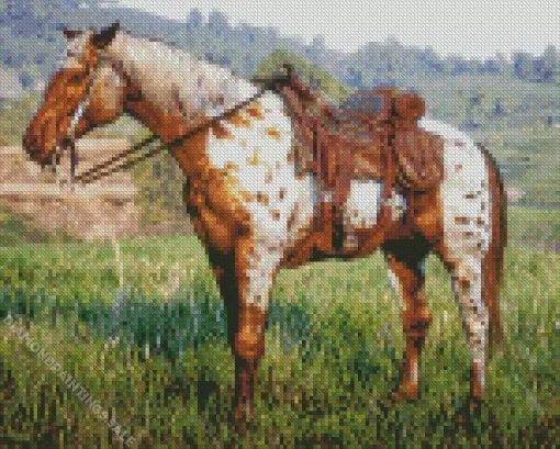 Appaloosa Leopard Diamond Painting