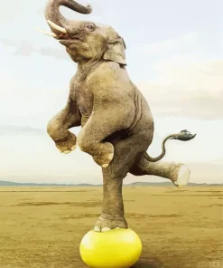 Balancing Elephant Diamond Painting