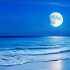 Beach With Moon Diamond Painting