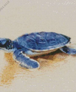 Beach With Turtle Diamond Painting