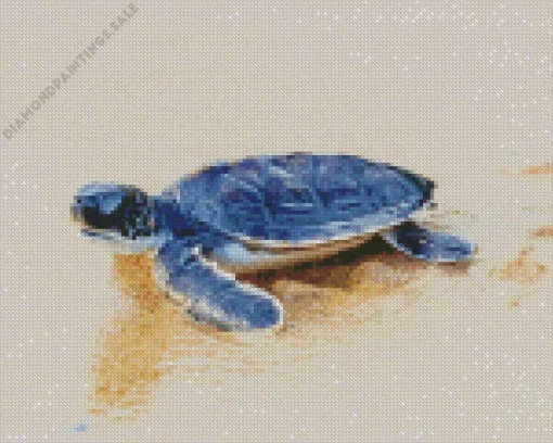 Beach With Turtle Diamond Painting