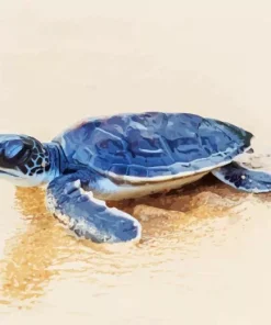 Beach With Turtle Diamond Painting