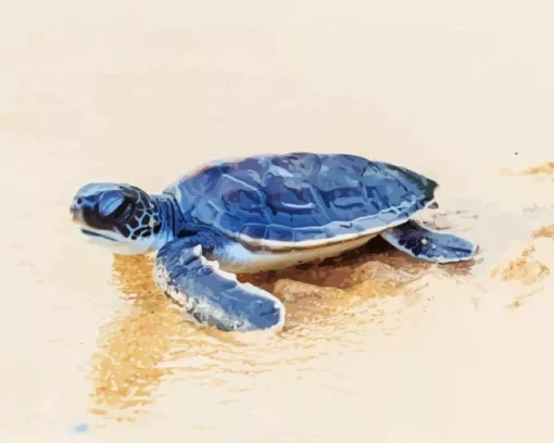 Beach With Turtle Diamond Painting