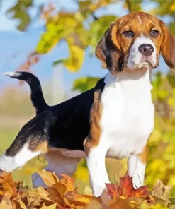 Beagle Hound Dog Diamond Painting