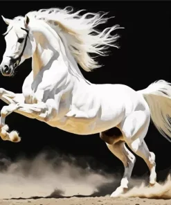 Beautiful White Stallion Diamond Painting