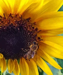 Bee On Sunflower Diamond Painting