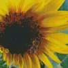 Bee On Sunflower Diamond Painting