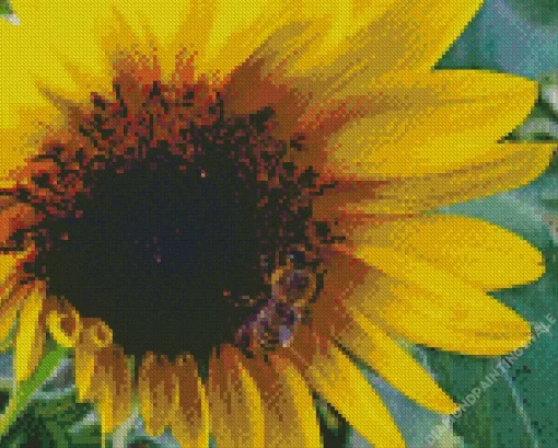 Bee On Sunflower Diamond Painting