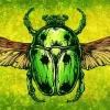 Beetle Art Diamond Painting
