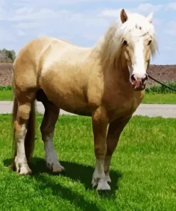 Beige Horse Diamond Painting
