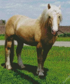 Beige Horse Diamond Painting