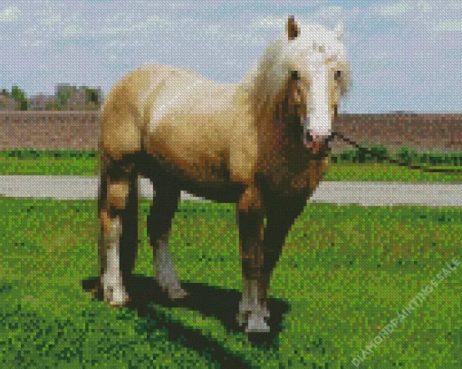 Beige Horse Diamond Painting