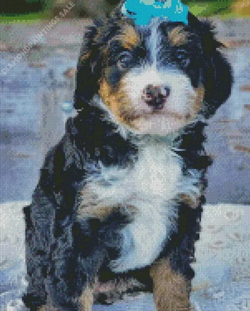 Bernedoodle Puppy Diamond Painting