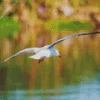 Bird Flying Over Ocean Diamond Painting