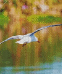 Bird Flying Over Ocean Diamond Painting