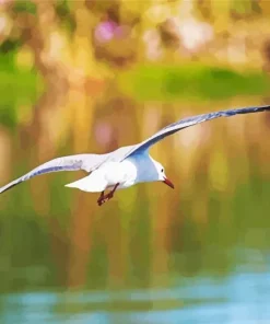 Bird Flying Over Ocean Diamond Painting