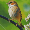 Bird On A Wire Diamond Painting
