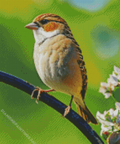 Bird On A Wire Diamond Painting