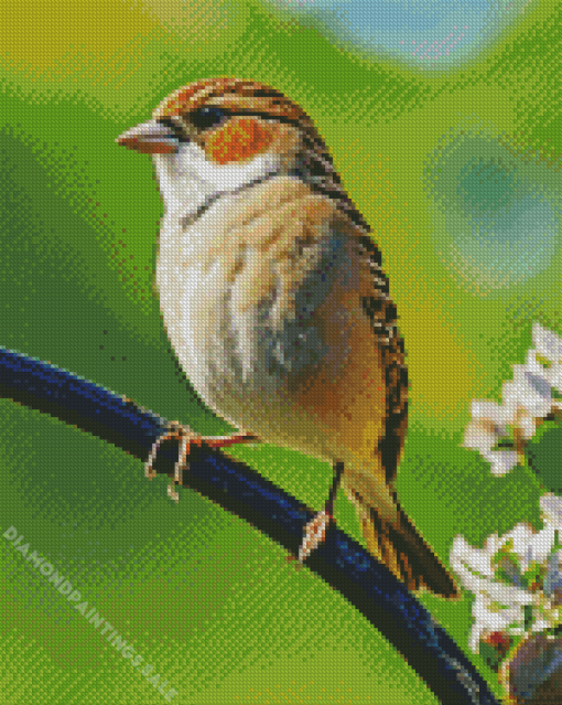 Bird On A Wire Diamond Painting