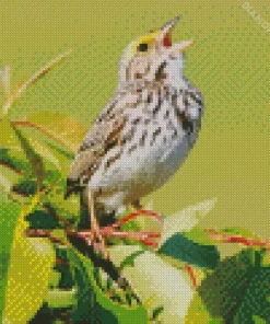 Bird Singing Diamond Painting