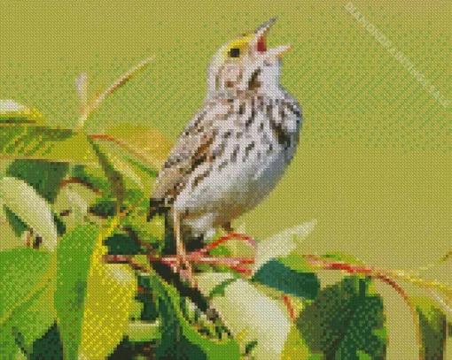 Bird Singing Diamond Painting