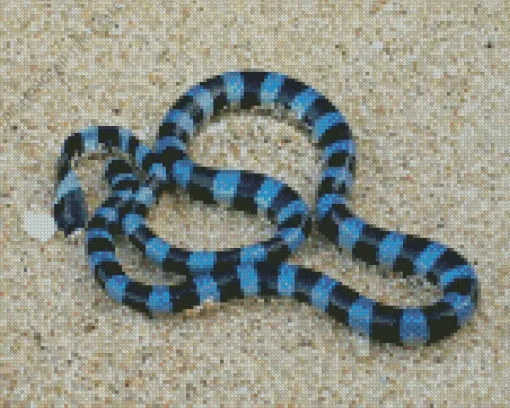 Black and Blue Snake Diamond Painting